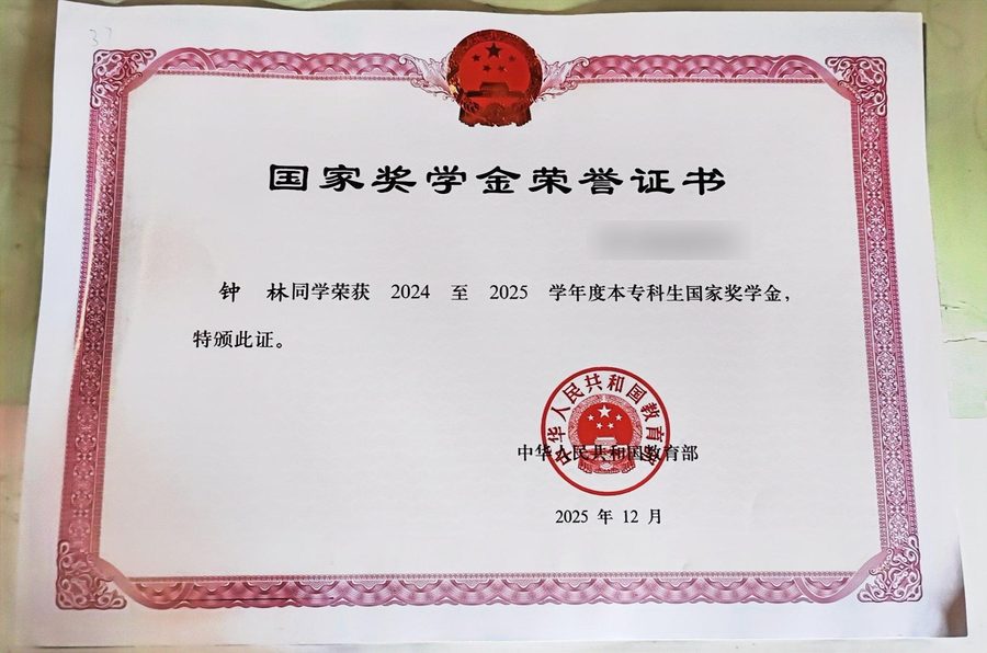 国家奖学金荣誉证书(已脱敏)
